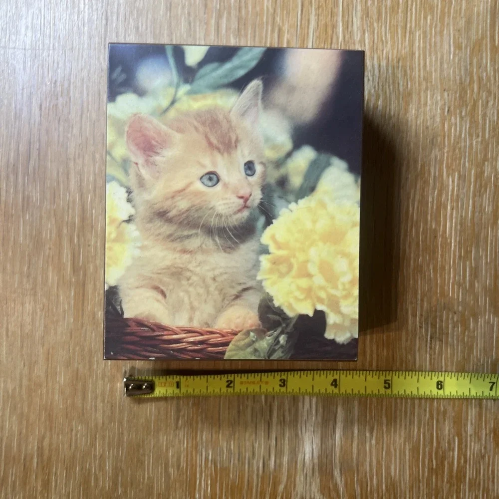 Vintage 1970's Souvenir Cedar Wood Trinket Box with Kitten Engraved‎ 'Minnesota'